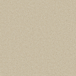 caribou