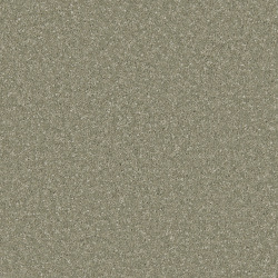 tuscan-olive